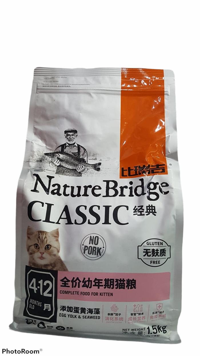nature bridge kitten