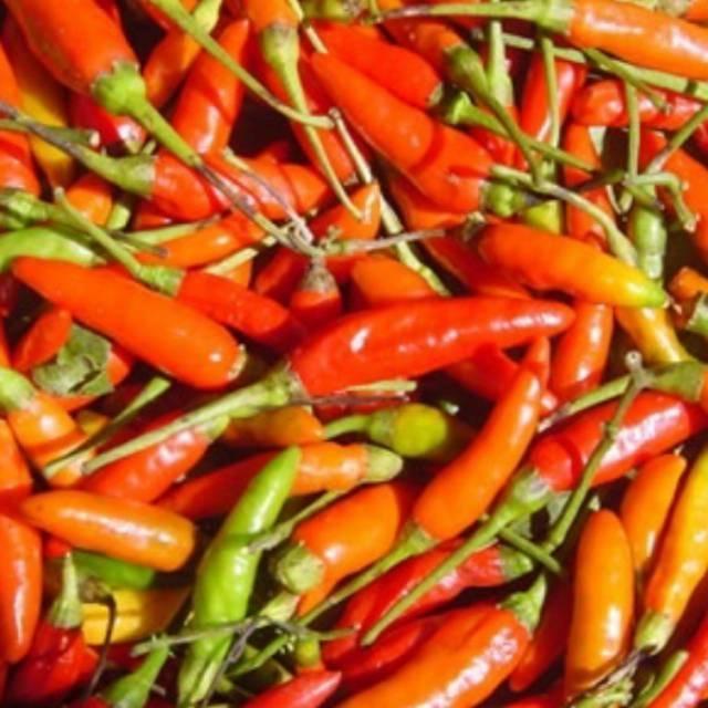 Gambar Cabe rawit segarr 500gr dari Indo Natural Pangan undefined Tokopedia