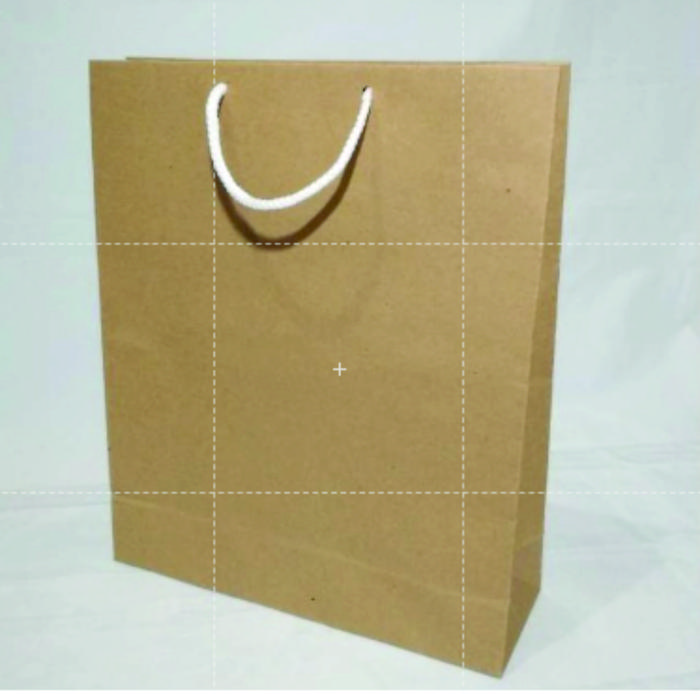 Gambar Paper Bag Souvernir ukuran 25 X 8 X 30 (P X L X T ) - Polos dari Muria Store_NEW undefined Tokopedia