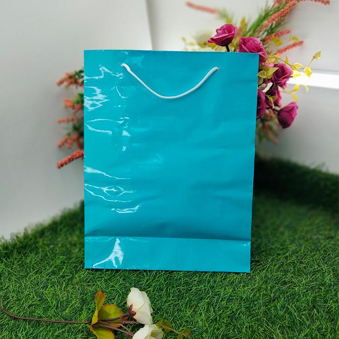 Gambar Tas Kertas Laminasi Polos Warna Belanja Kado Souvenir 24 x 9 x 30 - Biru Muda dari Rahmah Tas Kertas dan Kemasan undefined Tokopedia