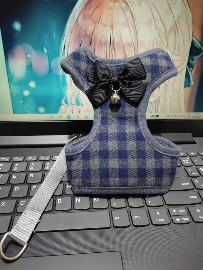 Gambar Tali Tuntun Harness Hewan Anjing Kucing Model Rompi 120cmx1.5cm - Navy dari BG Store8 undefined Tokopedia