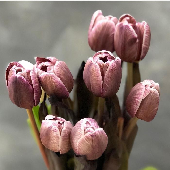 Gambar Buket Bunga | Bucket Bunga Tulip | Tulip | Buket Bunga Premium | lb-24 - Brownie dari La Fleuriste undefined Tokopedia