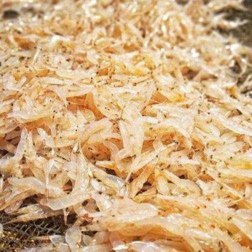 Gambar Udang Rebon Tawar 250gram dari IKAN LAUT SEGAR CAK AL FATH undefined Tokopedia