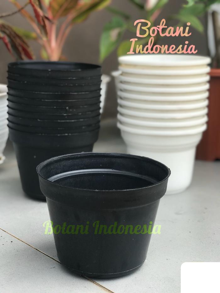 Gambar Pot Hitam Tebal Ukuran 30 cm / Pot Bunga Plastik / Pot Tanaman - Hitam dari Botani Indonesia undefined Tokopedia
