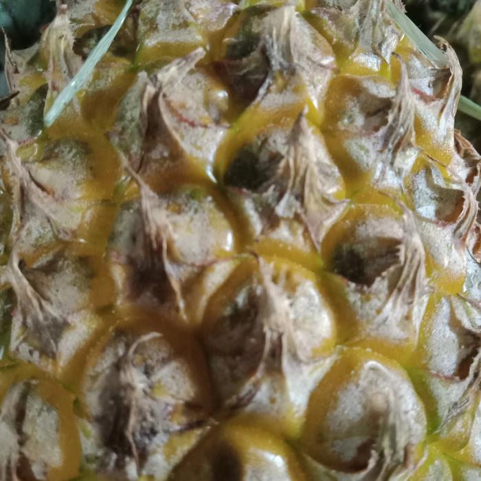 Gambar nenas perbiji dari jelita sayur undefined Tokopedia