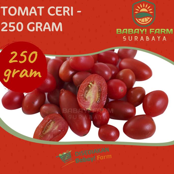 Gambar Tomat Ceri / Cherry Tomato 250 500 gr / 1 kg - 250 gram dari Babay Farm Surabaya undefined Tokopedia