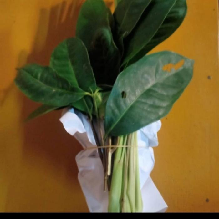 Gambar bumbu dapur komplit 1 paket dari Toko Aira gerak tani undefined Tokopedia
