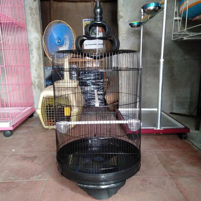 Gambar sangkar burung lovebird besi jumbo import terlaris dari randu jaya sangkar undefined Tokopedia
