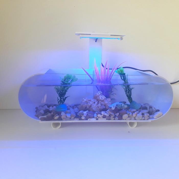Gambar aquarium mini akrilik unik aquarium ikan cupang fullset - Biru dari dodidodi81 undefined Tokopedia