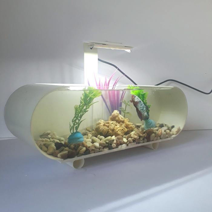 Gambar aquarium mini akrilik unik aquarium ikan cupang fullset - Putih dari dodidodi81 undefined Tokopedia