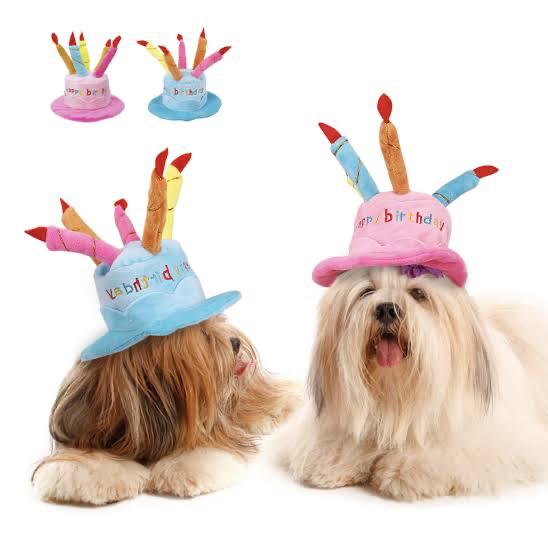 Gambar Topi ulang tahun anjing kucing Dog barkday hat topi anjing topi kucing - pink classic dari kartikapets_NEW undefined Tokopedia
