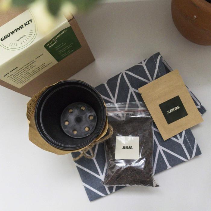 Gambar Pupuk Hayati Dinosaurus 250ml dan Growing Kit - Sage Herb dari Pupuk Dinosaurus undefined Tokopedia