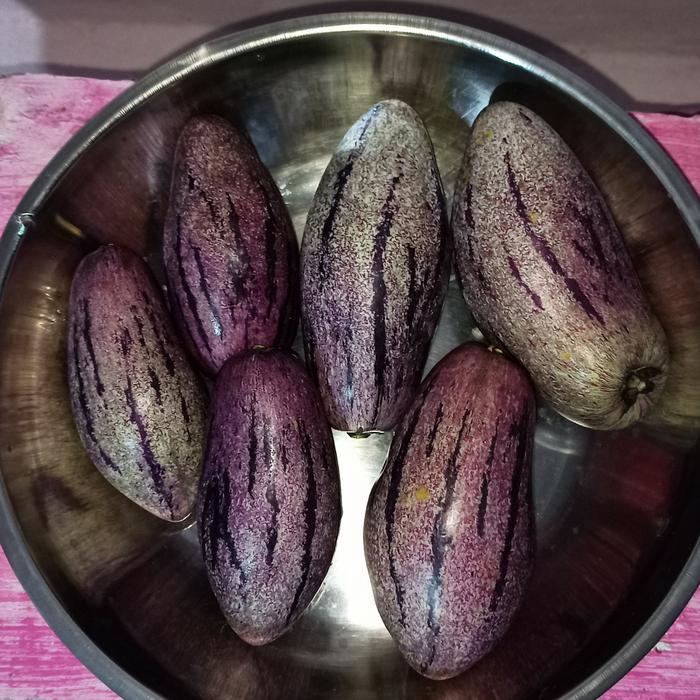 Gambar buah pepino 500gr dari Lentera Mas Shop undefined Tokopedia