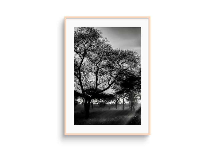 Gambar Frame Bingkai Kayu Minimalis Aesthetic A3 Motif Nature Landscape BW - 154 dari Artflow Bali undefined Tokopedia