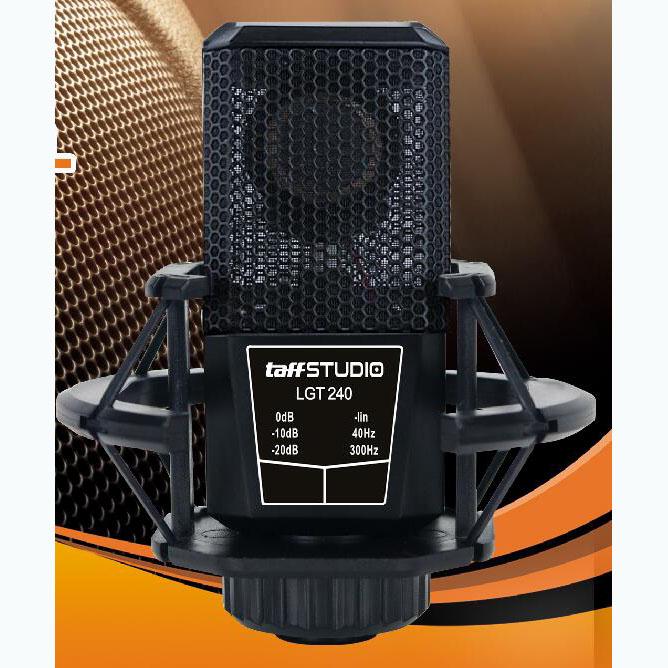 Gambar microphone condenser professional recording LGT 240 lgt240 dari t_tokaya undefined Tokopedia