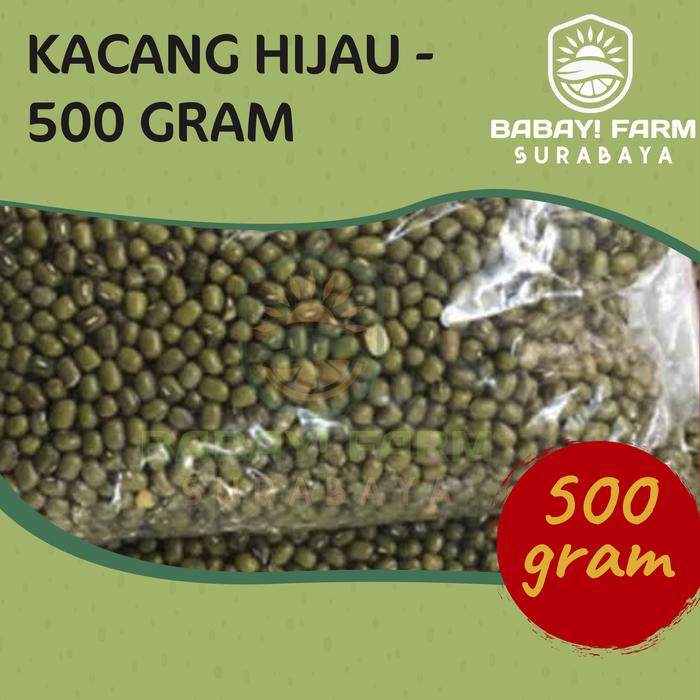 Gambar Kacang Hijau / Ijo 250 500 gr 1 kg - Var. 500 Gram dari Babay Farm Surabaya undefined Tokopedia