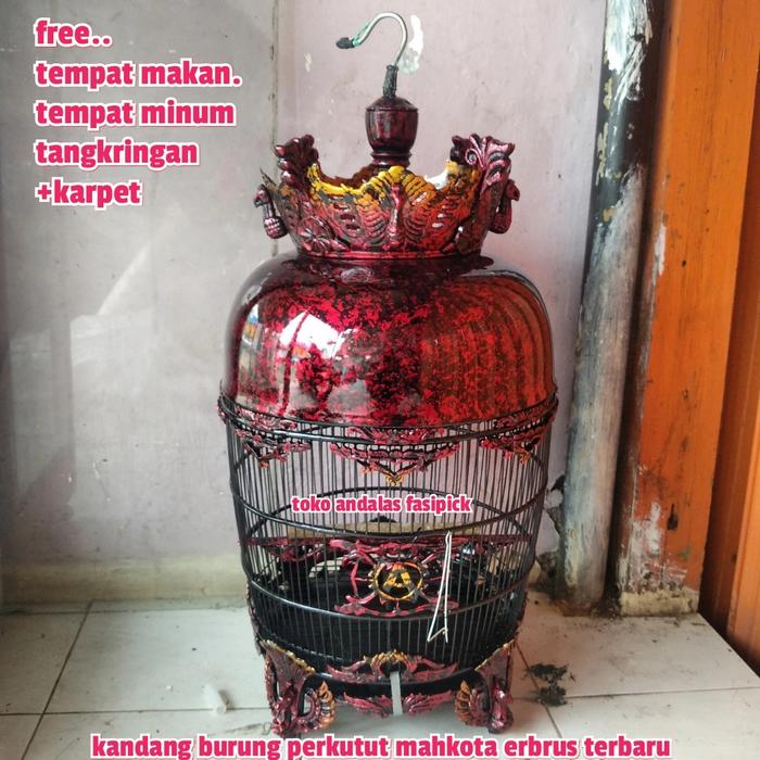 Gambar kandang burung perkutut mahkota/sangkar perkutut mahkota erbrus/kandng dari tokoandalasfasifick undefined Tokopedia