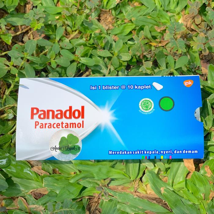Gambar Panadol Paracetamol BLISTER Biru Merah Hijau panadol extra - BiruParacetamol dari RING COLLECTION undefined Tokopedia