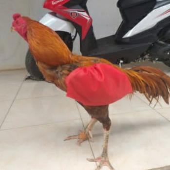 Gambar bungkus Sayap Biru - Merah dari KittingFarm undefined 3 Tokopedia