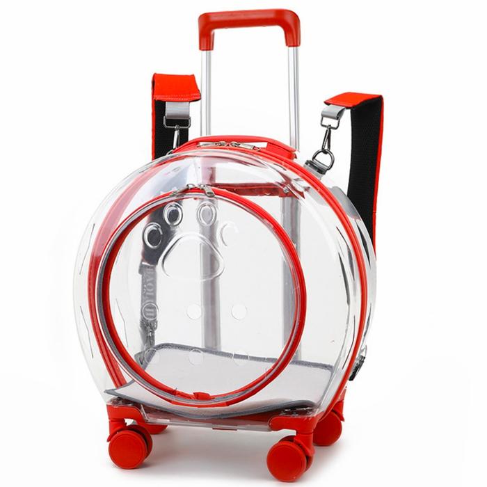Gambar Tas anjing kucing trolley capsule binatang peliharaan warna - Biru Muda dari Infinitecoshop undefined Tokopedia