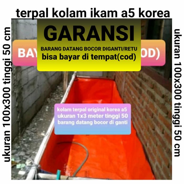 Gambar KOLAM TERPAL KOREA A5 UKURAN 1X3 METER TINGGI 50 CM - oren dalam, a5 100x100 t50 dari terpal murah undefined Tokopedia