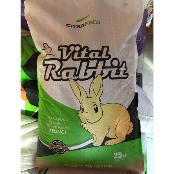 Gambar MAKANAN KELINCI VITAL RABBIT CITRA FEED 7 KG FOOD RABBIT 7 KG PELET dari beauty center indo 88 undefined Tokopedia