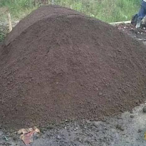 Gambar Pasir Cimalaka, Pasir Garut, Pasir pasang + Cor dari Supplier Material Alam_NEW undefined Tokopedia