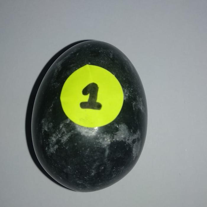 Gambar NATURAL STONE EGG BATU TELUR AYAM KAMPUNG DRAGON EGG NAGA TERAPI YONI - 1 dari GundamBandung undefined Tokopedia