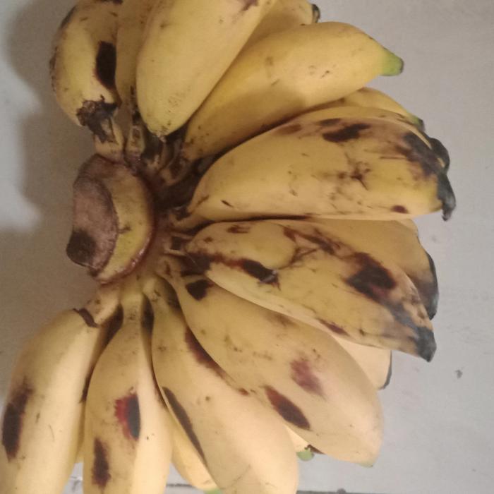 Gambar buah pisang muli perkilo dari jelita sayur undefined Tokopedia