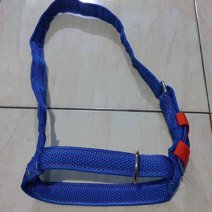 Gambar Headhalter dan brangus Sapi - Biru, M dari Fahmidogenergy undefined Tokopedia