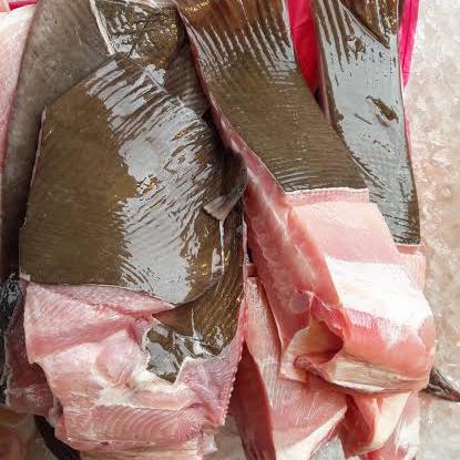Gambar ikan pari 1 kg fresh tidak bau pesing - ikan pari segar dari Salmonku Seafood undefined Tokopedia
