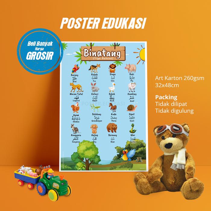 Gambar Poster Edukasi Anak / Poster Belajar / Poster Anak Muslim - Binatang dari Ummu Khansa undefined Tokopedia
