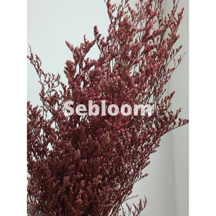 Gambar [100gr] Preserved Caspea / lovergrass - White dari Se Bloom undefined 5 Tokopedia
