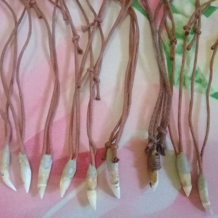 Jual Kalung Gigi Buaya Asli Papua Souvenir Oleh oleh Khas Papua - Kota ...