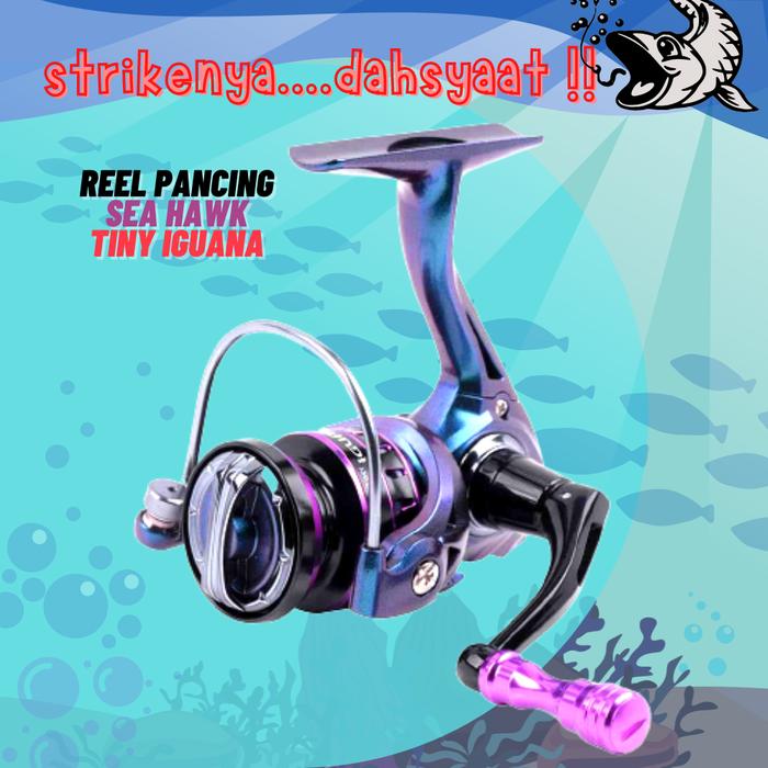 Iguana Seahawk Jigging Rod Joran Seahawk Popular Kingdom Xtreme