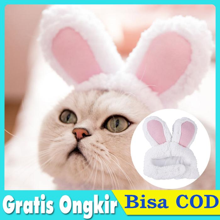 Gambar Topi Kucing Model Telinga Kelinci Kostum Cosplay dari IDT4 undefined Tokopedia