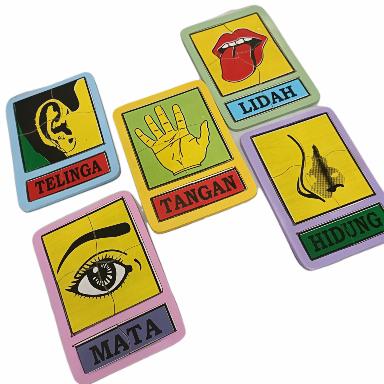 Gambar MAINAN EDUKASI ANAK PUZZLE SET PANCA INDRA 5 PCS dari MAINAN ALFAQIH undefined Tokopedia