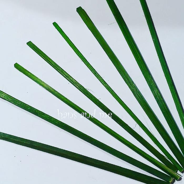 Gambar Maket Bambu Hijau (5 pcs) dari Hans and Me undefined Tokopedia