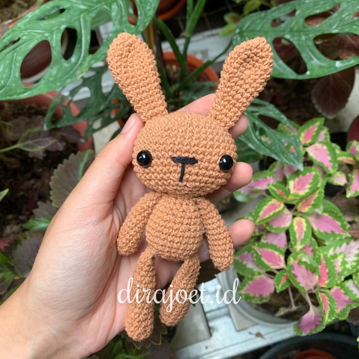 Gambar Boneka Rajut Kelinci Lucu/Plushie Amigurumi Long Leg Bunny | dirajoet - Tanpa Ganci dari dirajoet undefined Tokopedia