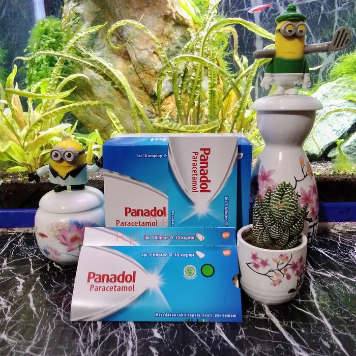 Gambar panadol biru paracetamol box dan strip - 1blister dari R puspitasari undefined Tokopedia