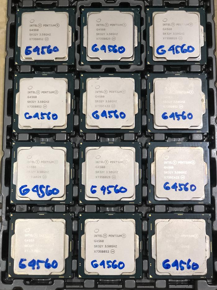 Procesor Pentium Gold G4560 G 4560 socket 1151 bukan G4400 G5400 G6400 di  Persada-komputer Tokopedia