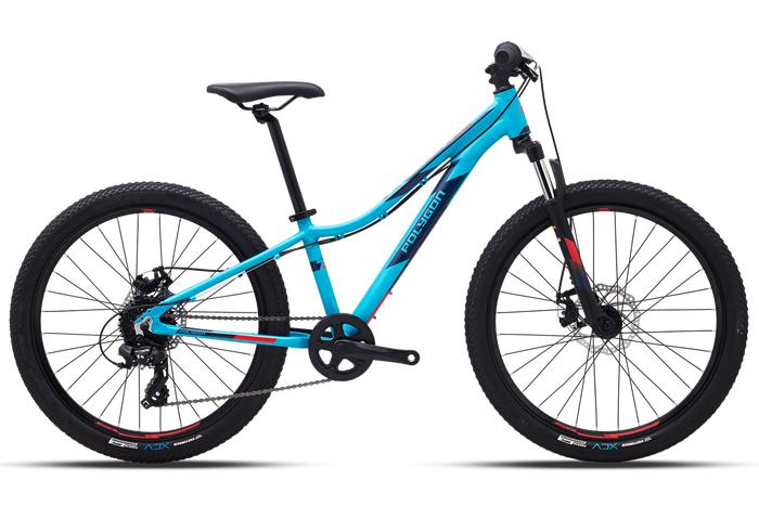 Gambar Sepeda 24 MTB POLYGON RELIC - Merah dari Twinsbikecibinong undefined 4 Tokopedia