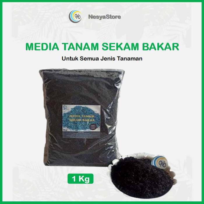 Gambar Sekam Bakar Media Tanam Sekam Arang Sekam Bakar 500 gram dari Nesya PetsNPlants undefined Tokopedia