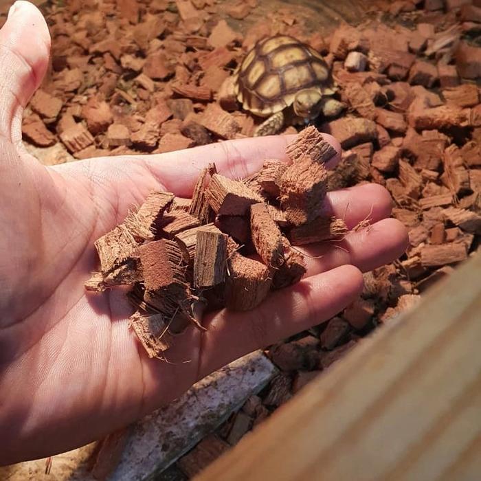 Gambar coconut husk alas reptile -coco husk reptile bedding substrate reptile dari makmurjaya1_NEW undefined Tokopedia