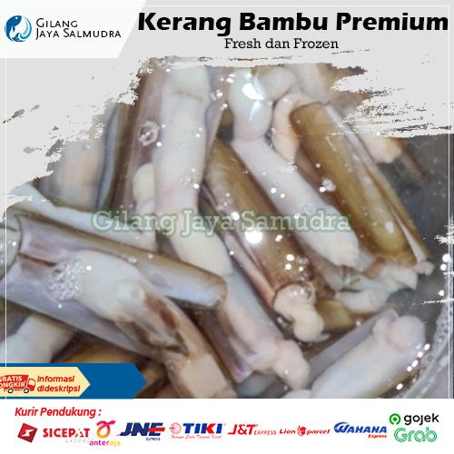 Gambar Kerang Bambu / Lorjuk / Kerang Panjang Segar-Fresh-Frozen / beku - 500 gram dari Gilang Jaya Samudra undefined Tokopedia