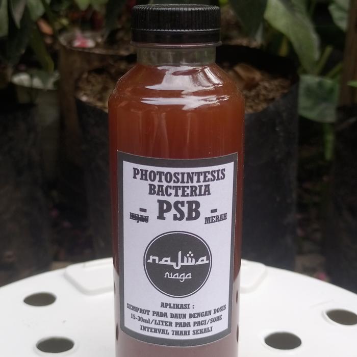 Gambar biang pupuk organik bakteri fotosintesis PSB 250ml - Merah dari Najwa Niaga undefined Tokopedia