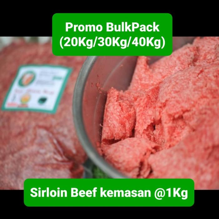 Gambar BULK PACK - SIRLOIN BEEF MINCED DOG CAT RAW FOOD - (20/30/40 KG) - PAKET 20KG dari RumahBully undefined Tokopedia