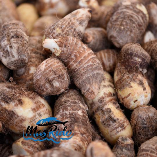 Gambar Talas Kimpul Belitung Umbi Talas Segar Organik Pulen Legit Fresh Murah - Non Organik dari Warung Ikan Asin Ms Rido undefined Tokopedia