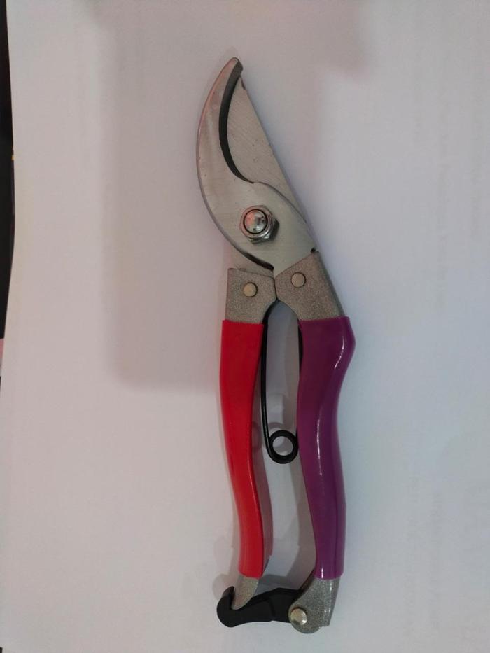 Gambar MAXPUMP Gunting Potong Ranting Dahan Pruning Shears Gunting Bunga Tanaman 8inc Tebal Kuat Bahan Bagus Grip Nyaman Pengunci Kemasan Blister Merah Ungu - Merah Ungu dari Mesin Pompa Air undefined Tokopedia