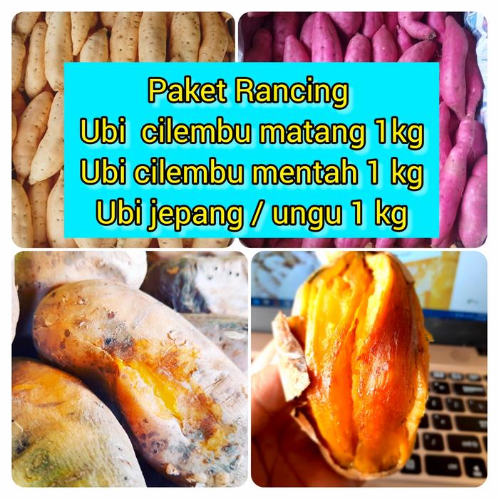 Gambar ubi cilembu matang oven,ubi cilembu mentah,ubi jepang/ungu dari Ubi madu cilembu Abang Ray undefined Tokopedia